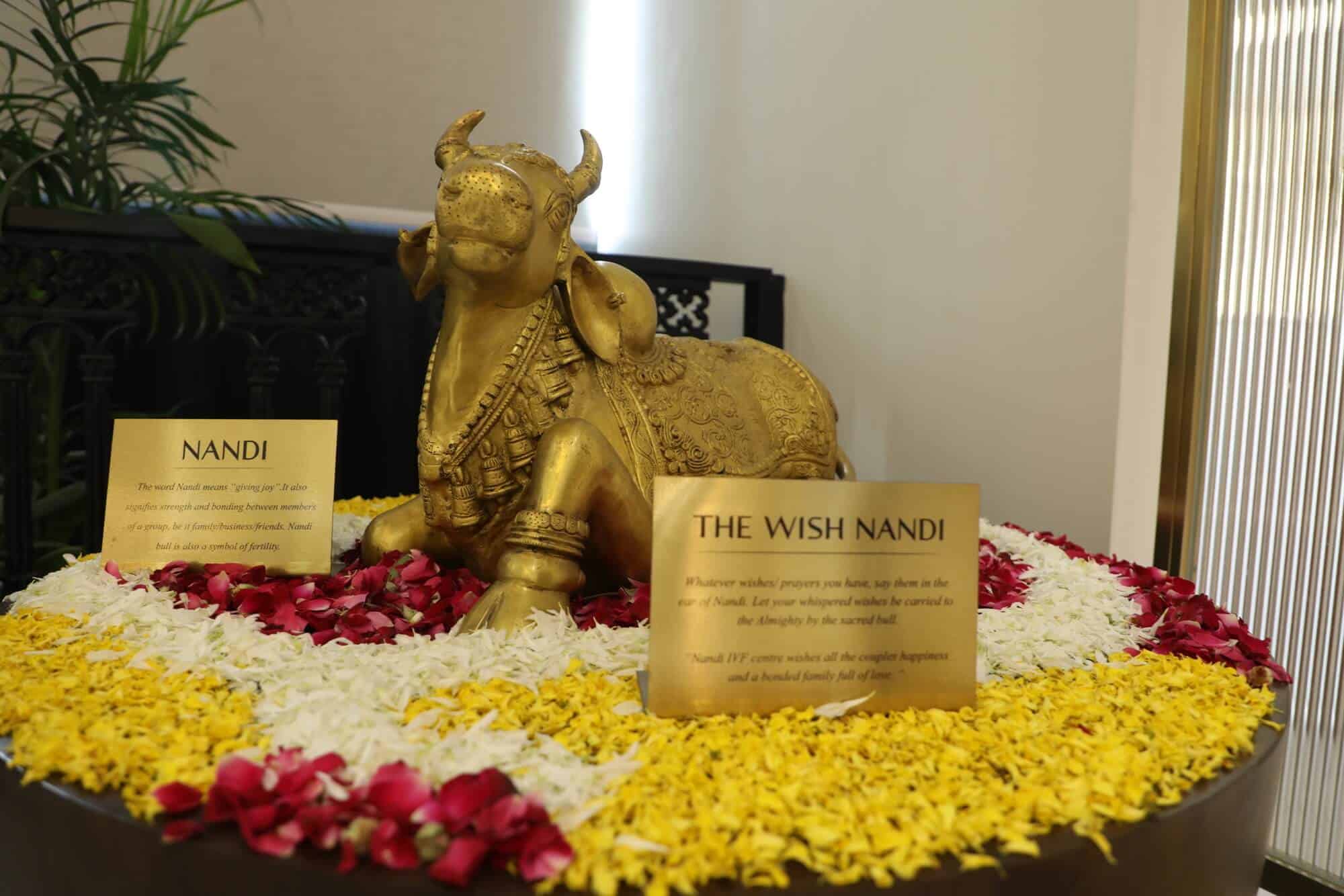The Sacred Wish Nandi - Symbol of Hope & Blessings at Nandi IVF Delhi