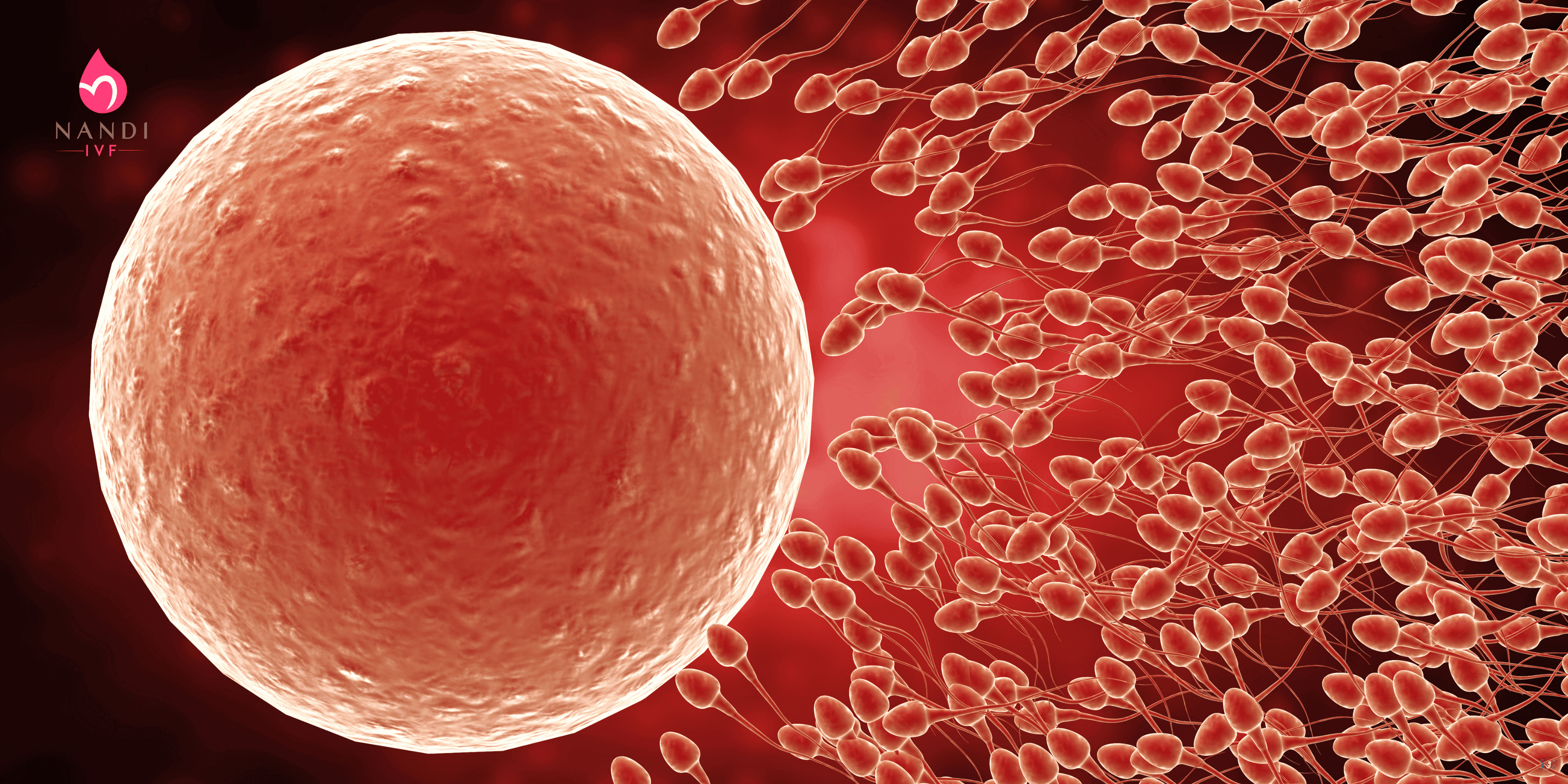 Does Female Masturbation Cause Infertility?