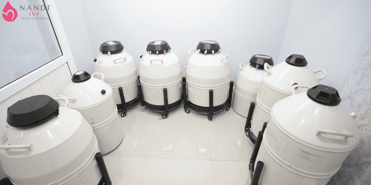 Who Should Consider Social Egg Freezing: Identifying the Right Candidates