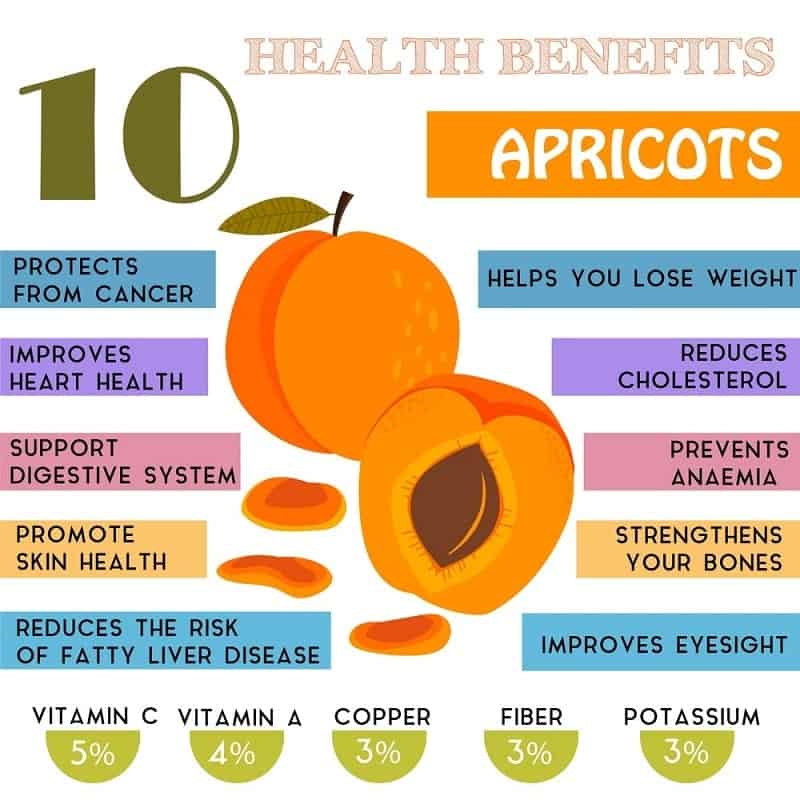 Apricots in Pregnancy: Unveiling the Nutritional Bonanza for Expectant Mothers