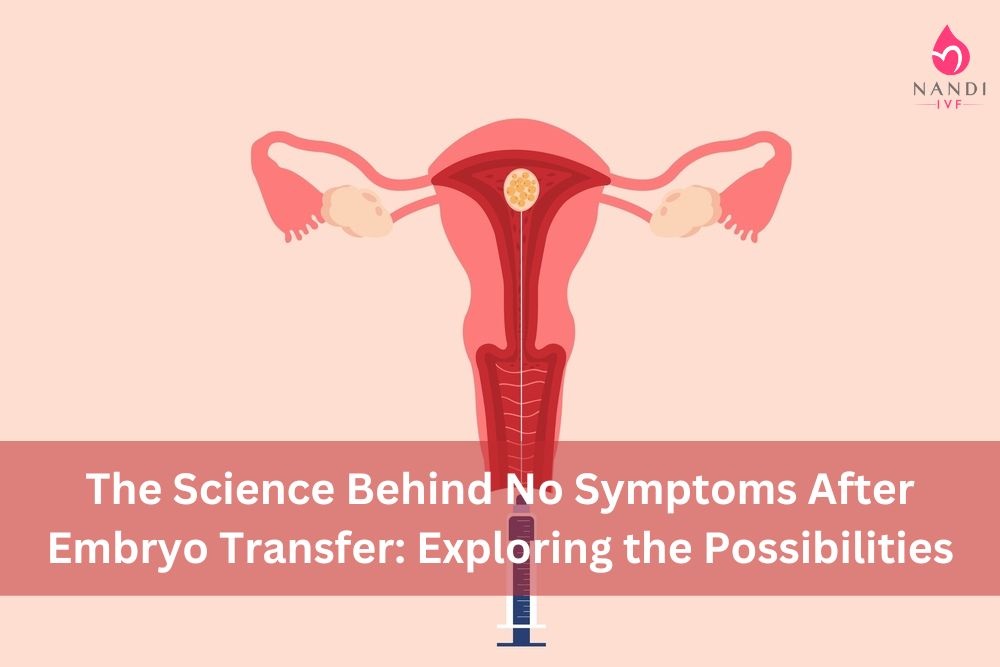 No symptoms after Embryo transfer is that normal