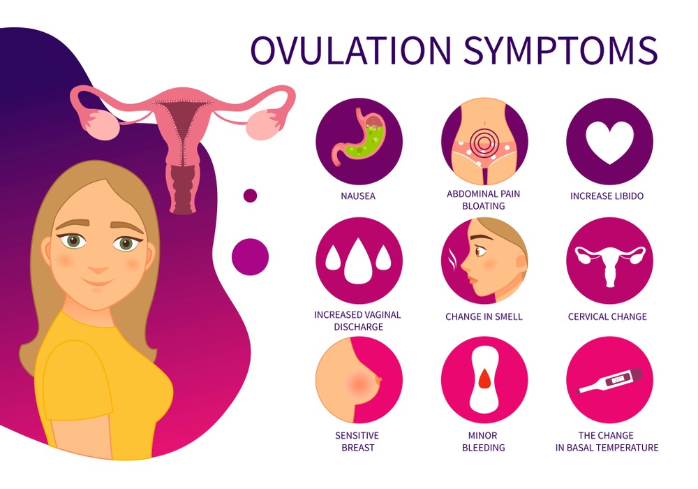 Signs and Symptoms of Ovulation