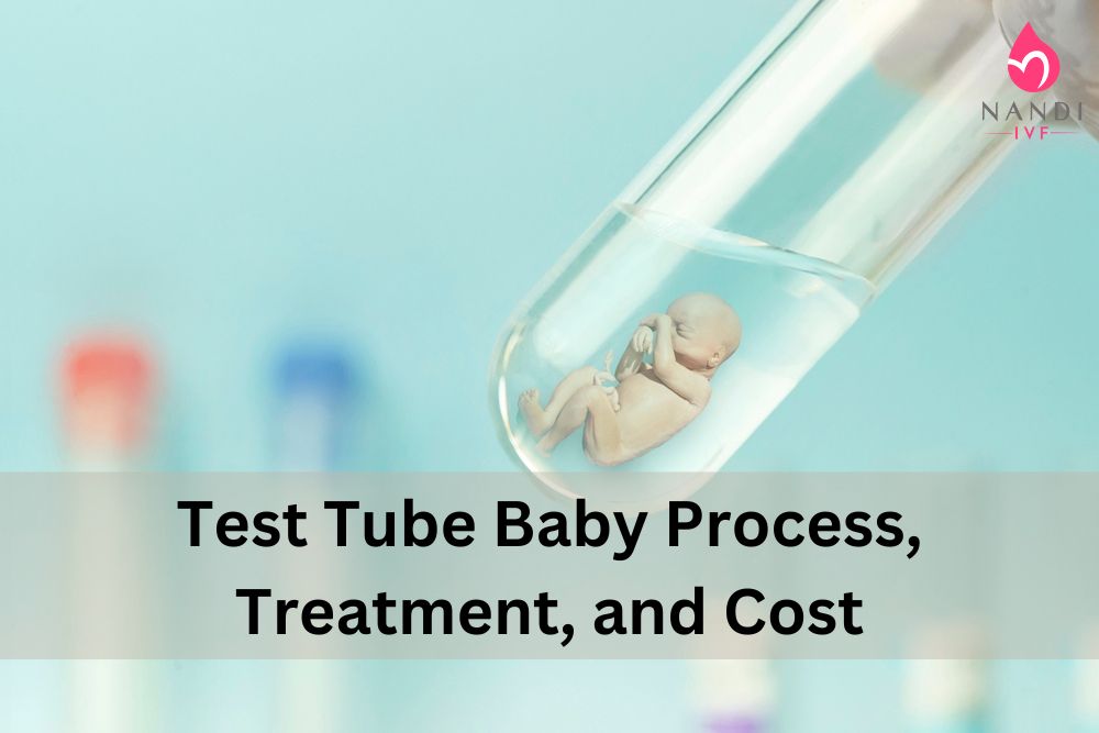 Test Tube Baby Process
