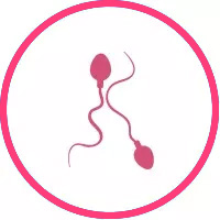 Best IVF Centre in Delhi with High Success Rate - Nandi IVF