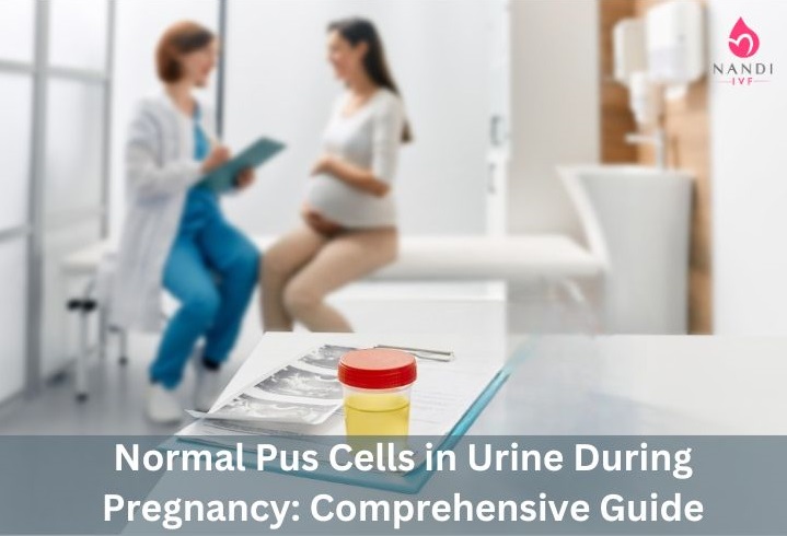 Normal Pus Cells in Urine During Pregnancy