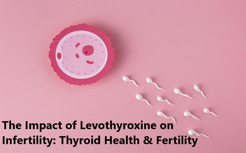 Impact of Levothyroxine on Infertility