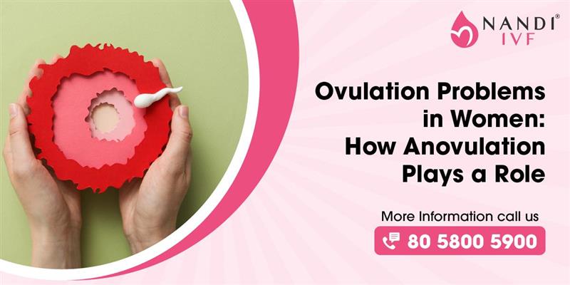 Ovulation Problems In Women