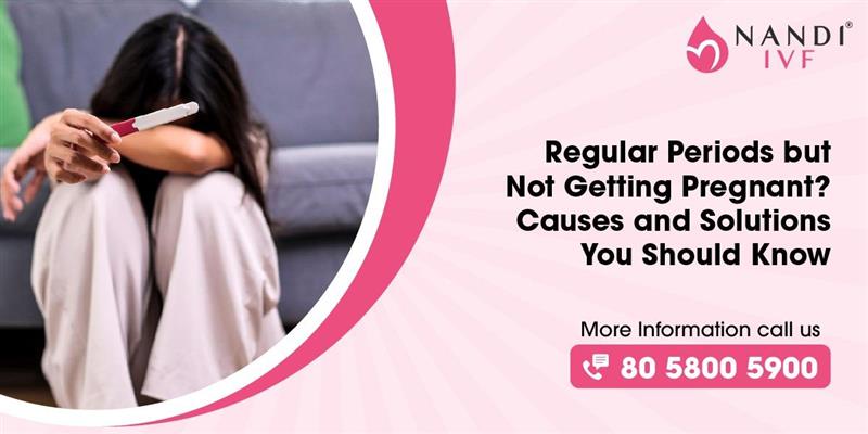 Regular Period - Pregnancy