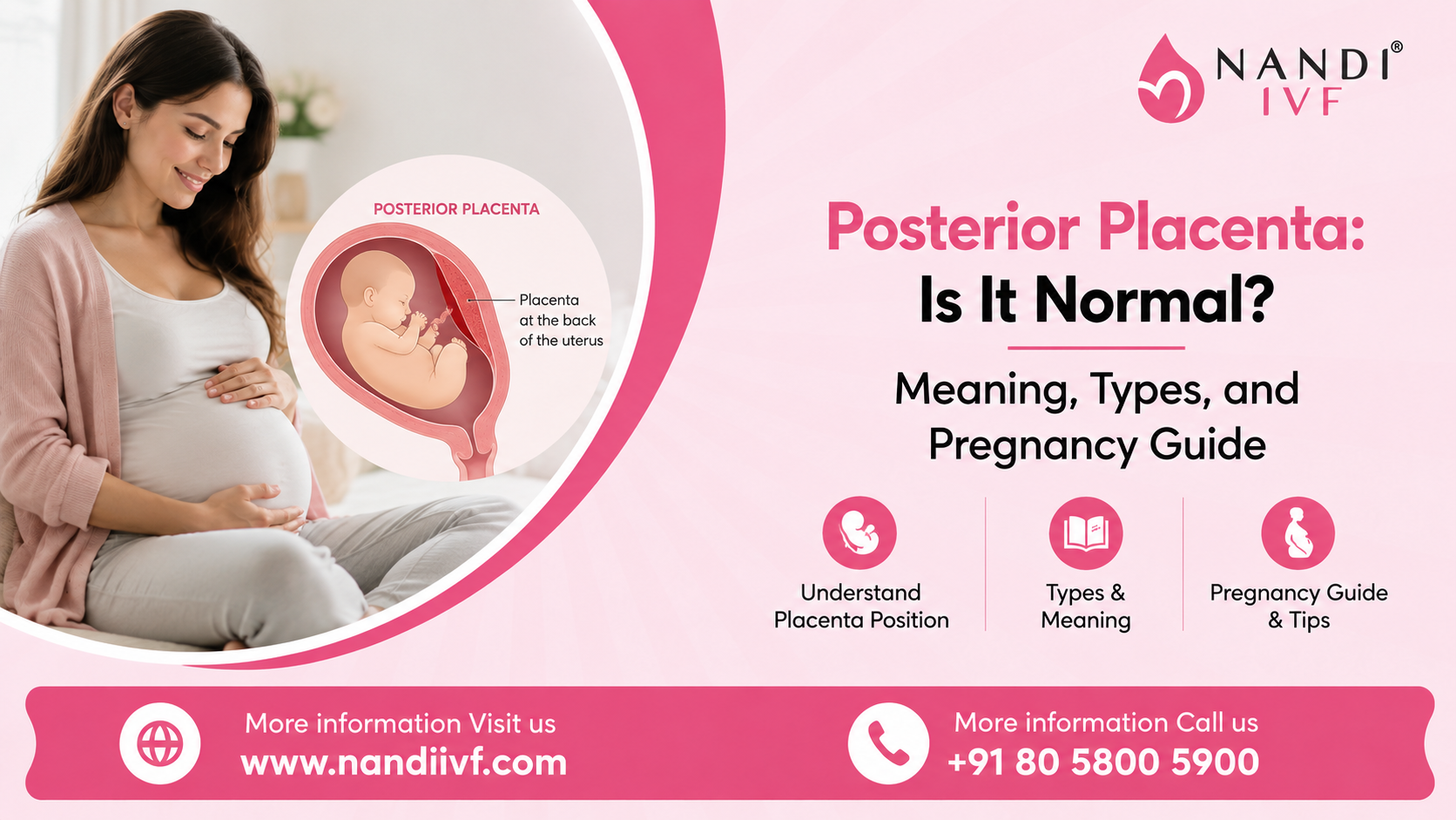 Posterior Placenta Meaning